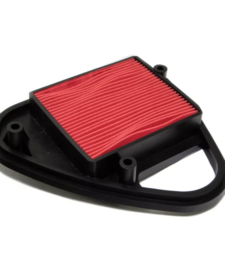 Filtro Aria per Honda VT600C Shadow '88-'97  HE1716070 17205-MR1-000