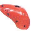 Copriserbatoio colore rosso per Honda CBR 1100 XX '01-'03